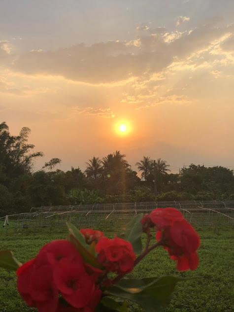 Canaan Beauty Farm B&B Chenggong Bagian luar foto